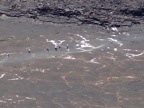 100_0138.JPG